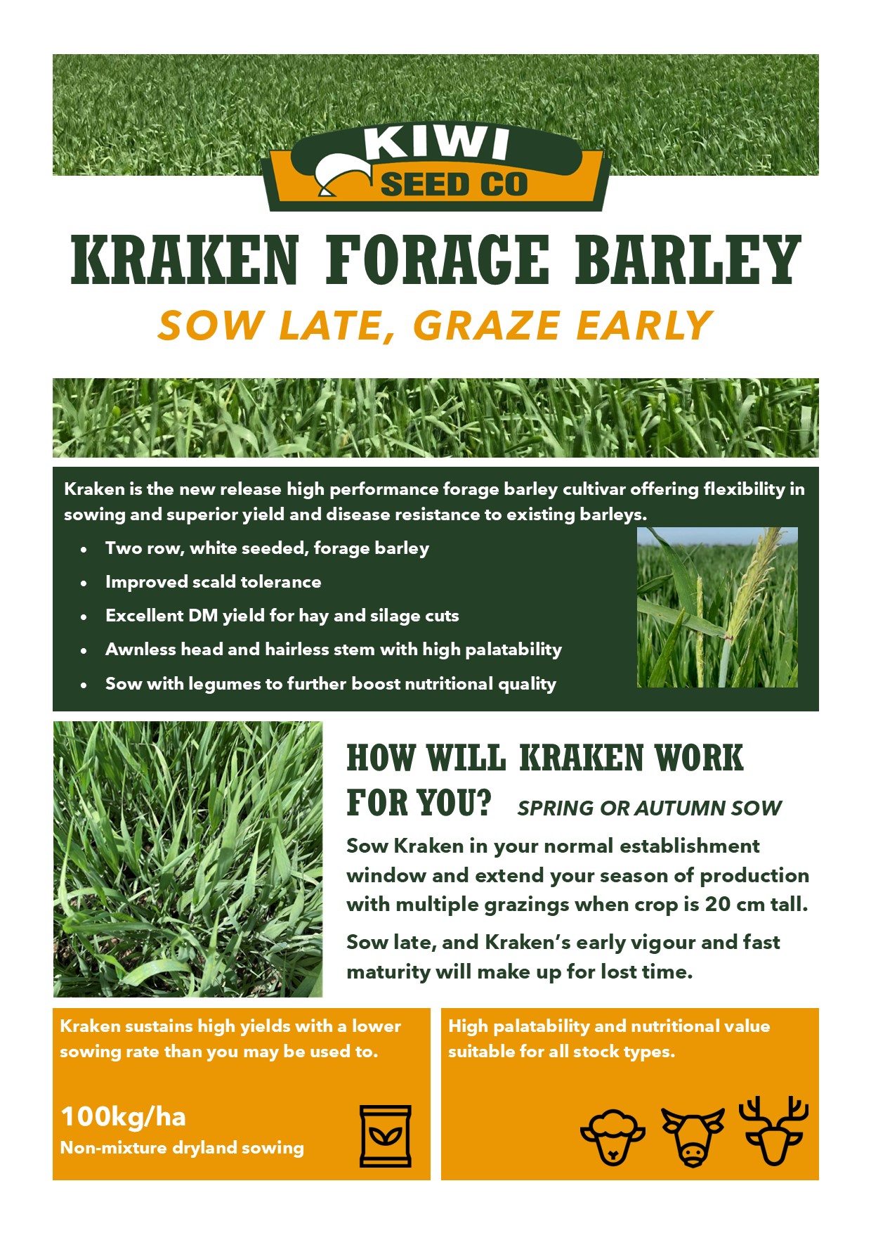 Kraken Forage Barley with budgets 2023 2