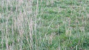 prosper easton.300x0