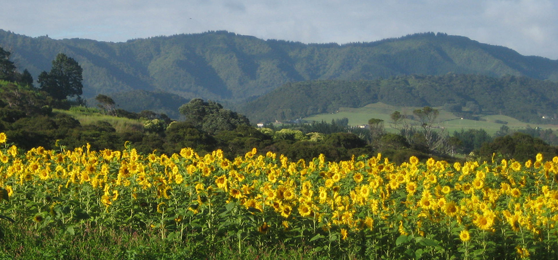 Grain and Seed Merchants
