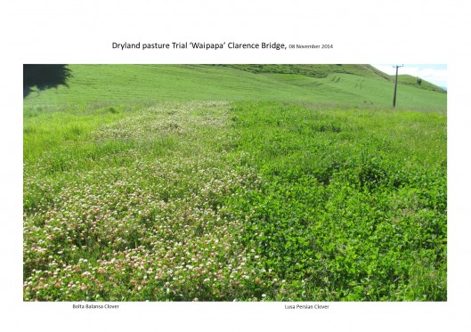 pic fieldday balansa lusa